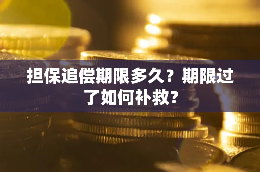 济南担保追偿期限多久？期限过了如何补救？