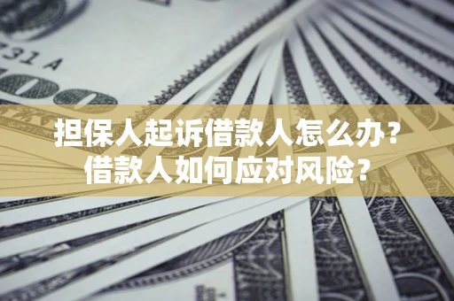 济南担保人起诉借款人怎么办？借款人如何应对风险？